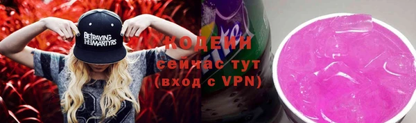 ГАЛЛЮЦИНОГЕННЫЕ ГРИБЫ Козловка