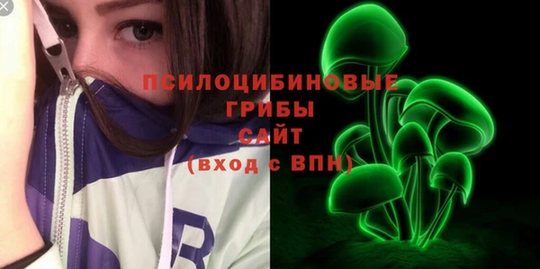 сатива Зеленодольск