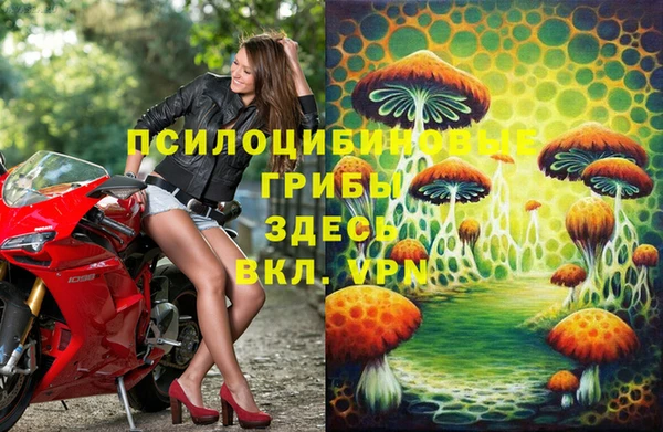 стафф Кодинск