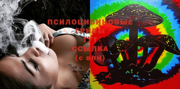 ПСИЛОЦИБИНОВЫЕ ГРИБЫ Алексеевка