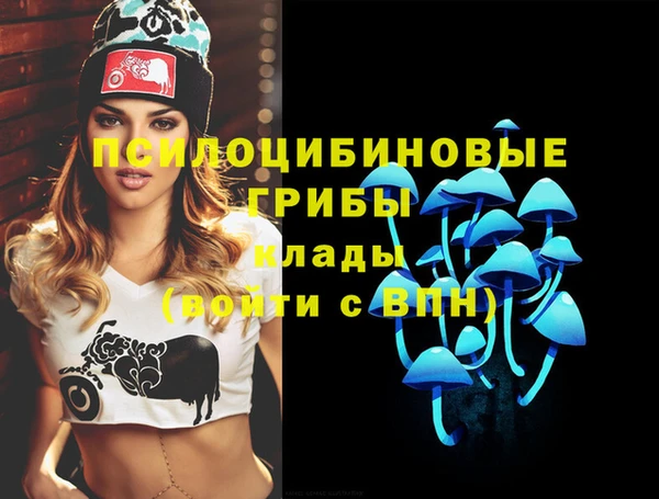 ALPHA-PVP Алексин
