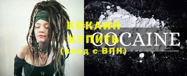 стафф Аркадак