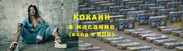 ПСИЛОЦИБИНОВЫЕ ГРИБЫ Арсеньев